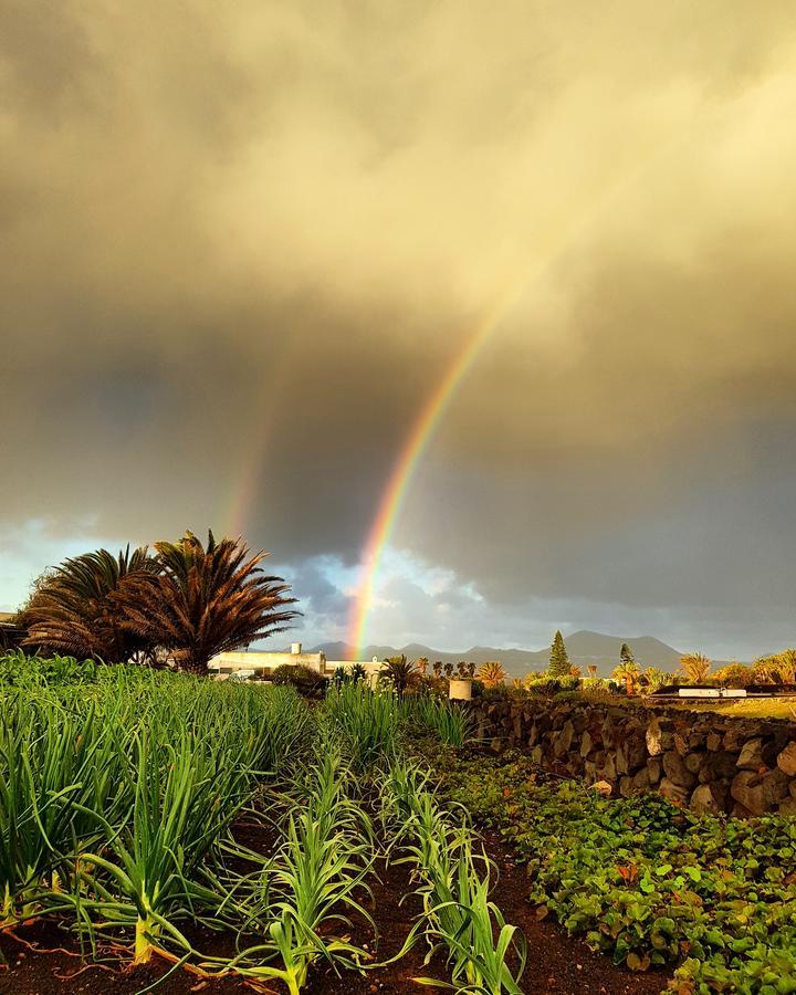 B&B La Mimosa Teguise  Kültér fotó